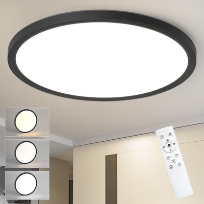 24W Deckenleuchte LED Dimmbar Wohnzimmer Deckenlampe Mit Fernbedienung Modern