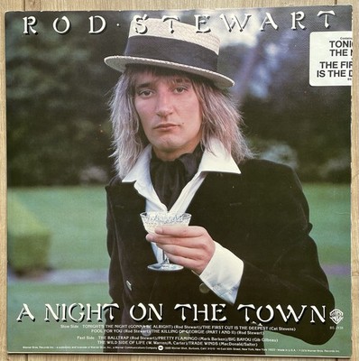 Rod Stewart a Night On the Town Vinyl LP - Warner Bros. Records