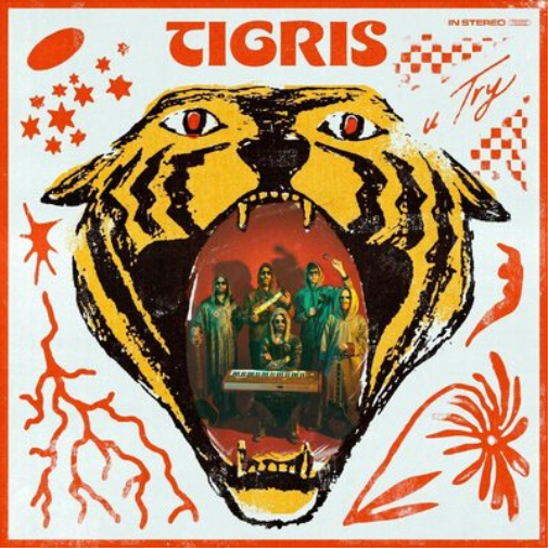 Tigris U Try (Vinyl LP) 12" Album