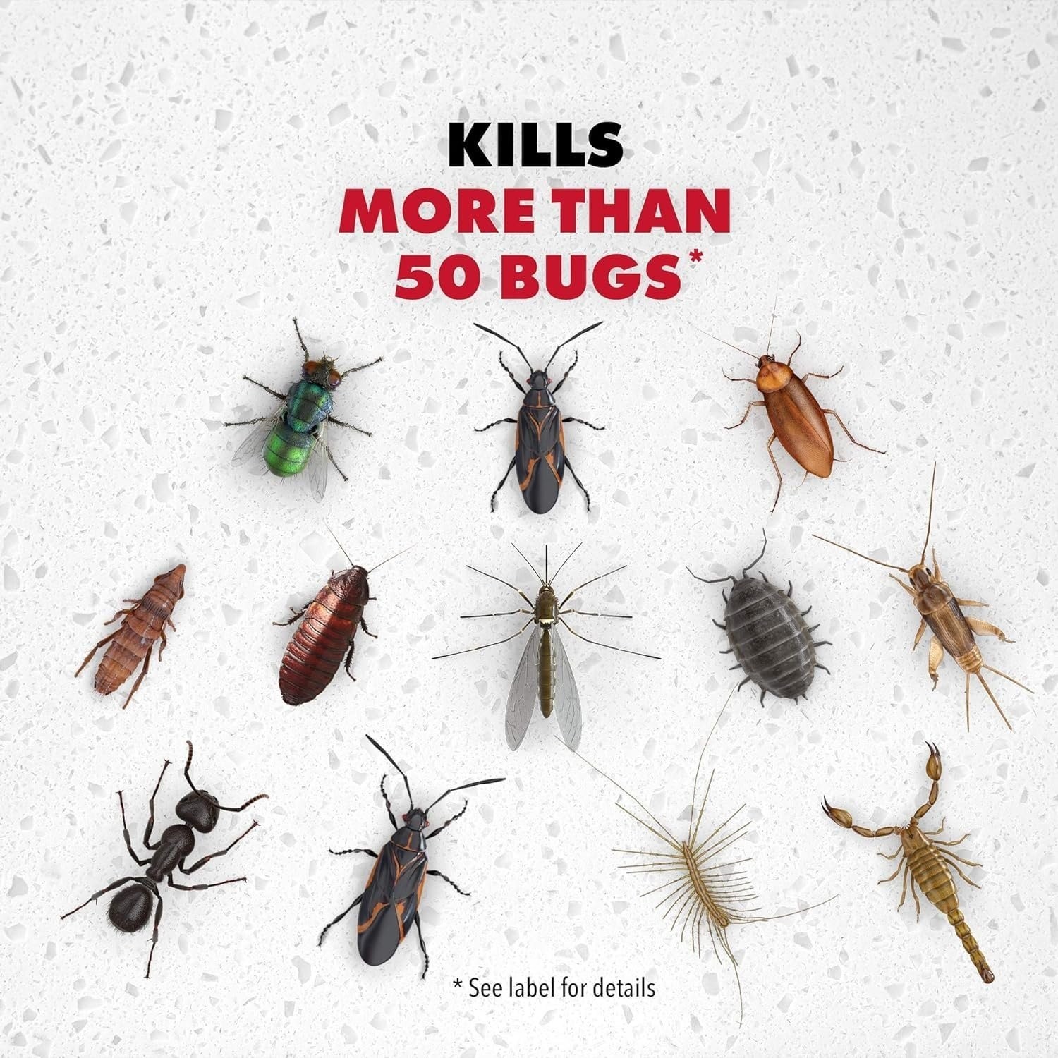 Raid MAX Defend Perimeter Protection Trigger Starter, 30 Fl Oz (Pack of 2)