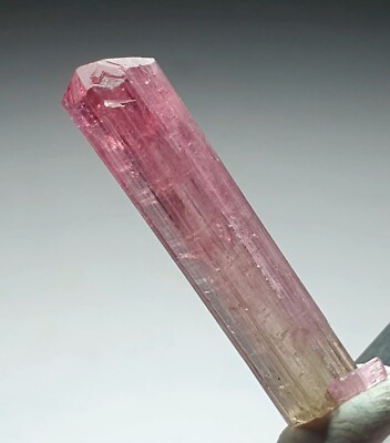 An Amazing Bi  Colour Terminated Tourmaline Crystal From Paprok Mine Afg