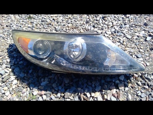 Passenger Headlight US Market Xenon HID Sx Fits 14-16 SPORTAGE 1366061