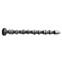 Auslass Nockenwelle Auslassnockenwelle FüR Audi A4 VW Golf VI Skoda 1.6 2.0 TDI
