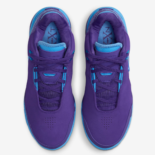 Nike Lebron NXXT Gen AMPD EP Basketball Shoes 'Field Purple