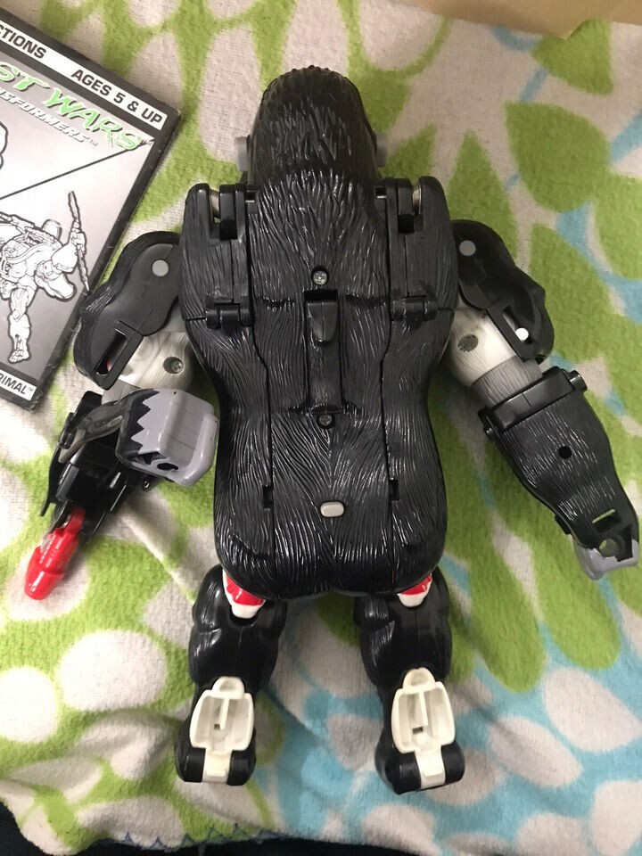 Transformers BEAST WARS Optimus Primal Mib 1996 Original A . | eBay