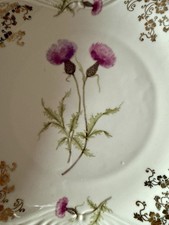Porzellan Teller Motiv Distel Schwarzenhammer Bavaria Germany 1950 Vintage