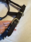 Cob Bobby’s English Tack Havana Leather Halter Brass Hardware Adjustable NEW BET — photo 7
