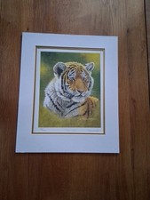 Mounted Stephen Grayford Limited Edition Print Signed 999/1050 Tiger Cub