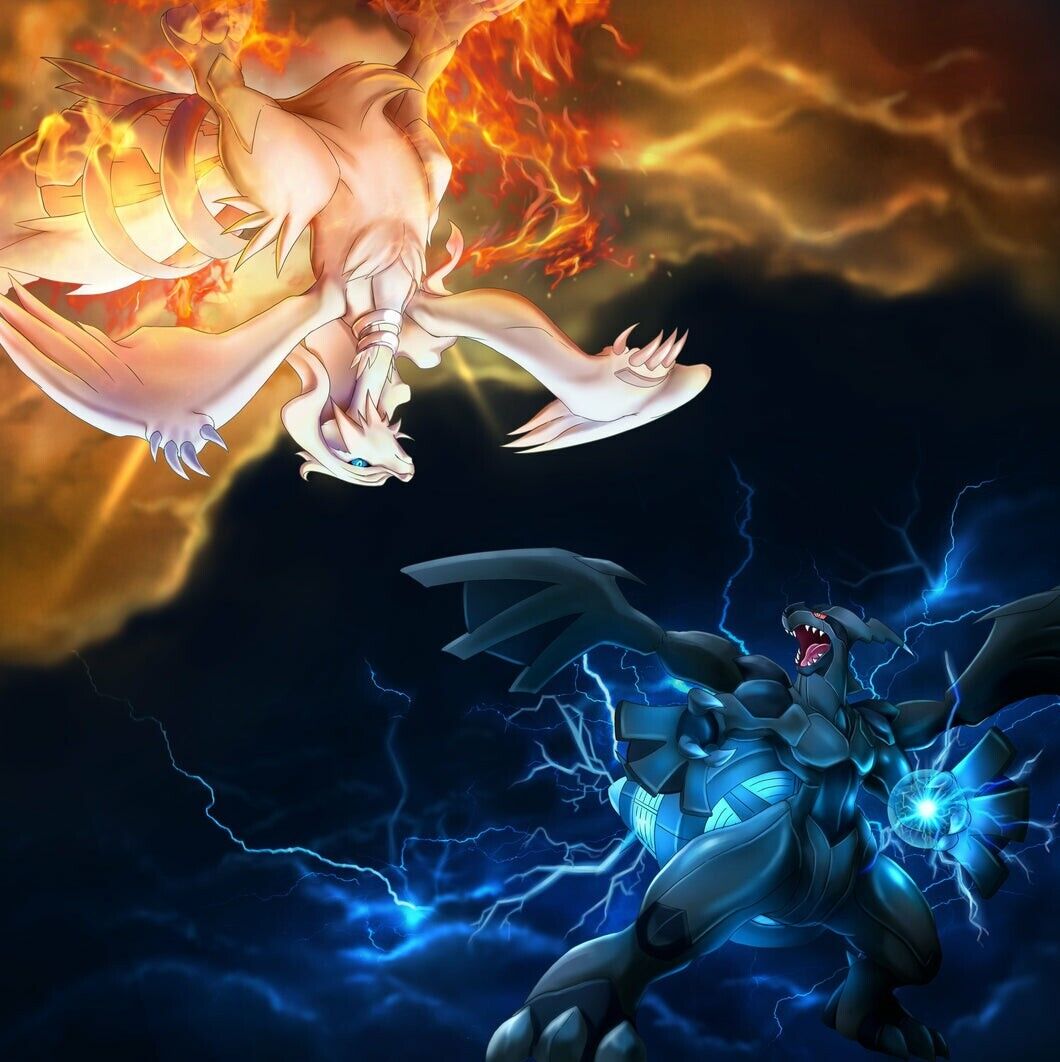 Reshiram Vs Zekrom