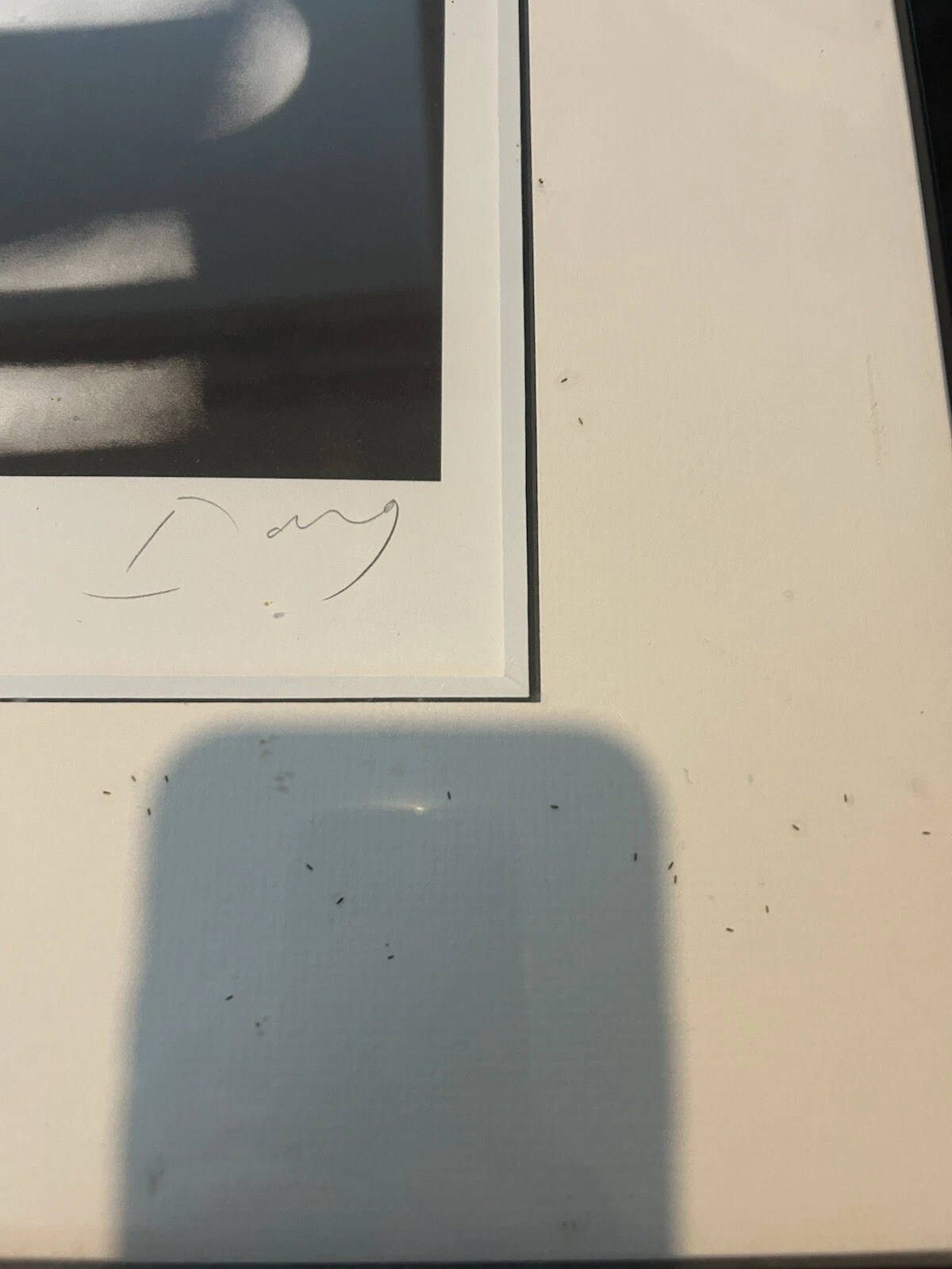 Picture 3 of 5