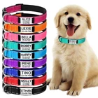 Personalised Dog Collar with Engraved ID Tag Adjustable Reflective Puppy Collar