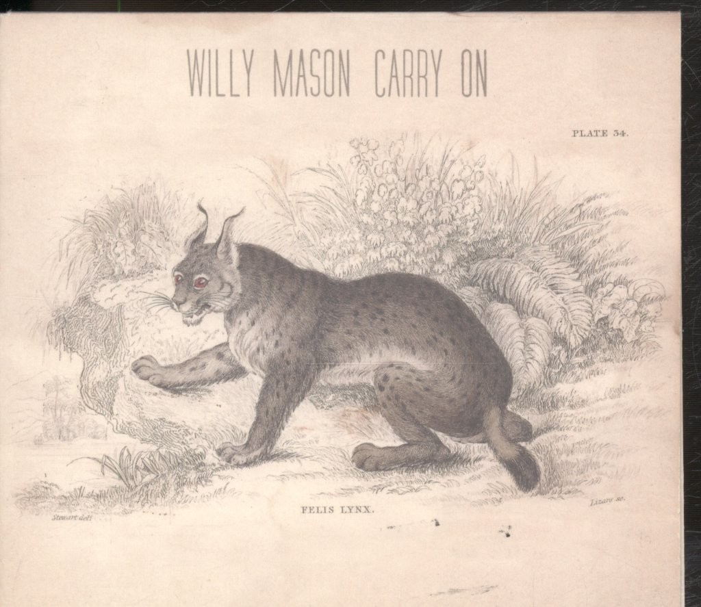 Willy Mason Carry On CD UK Fiction 2012 with booklet in digipak 3720271
