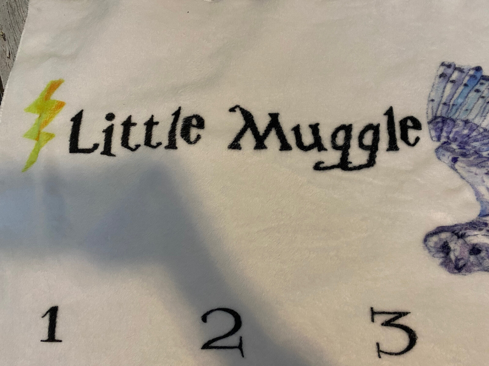Harry Potter Little Muggle Milestone Blanket eBay