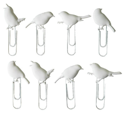 Auswahl THE ZOO Bilder Foto Postkarten Collage Leine Halter Klammer Clip