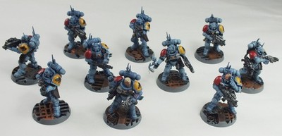 Warhammer 40k Primaris Space Wolves Infiltrators (10) *gut bemalt*