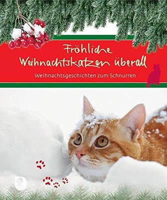 Ilka Osenberg-van Vugt Katzen-Weihnachtsgeschichten Taschenbuch Winter Tierbuch