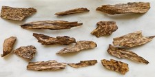 3.5 grams wild underwater Laos agarwood incense chips