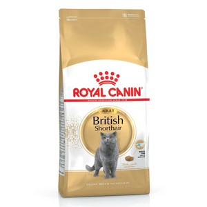 british shorthair cat food