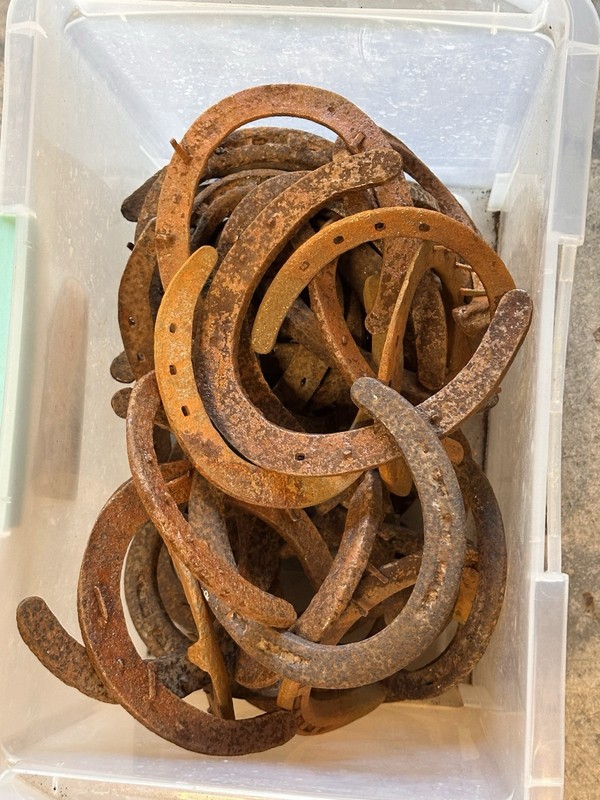 Lot of Vintage Rusty Horseshoes 25 lbs Genuine Used Steel Western Farm Decor