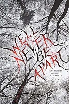 We'll Never Be Apart Hardcover Emiko Jean