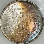 1889 P Morgan Silver Dollar NGC MS64 Better Date Morgan/Nicely Toned