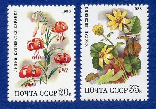 RUSSIA - SC #5687 - 5691 FLOWERS (A222) - Picture 2 of 2