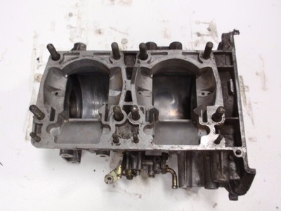 Arctic Cat 570 F/C Twin Snowmobile Engine Case Set Crankcase Z570 Z Panther LX