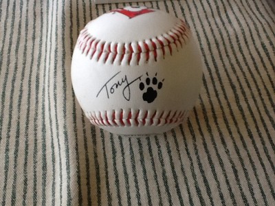 Balle De Baseball Tony The Tiger Kellogg's – Photoball – Vintage Années 90 – Taille Officielle