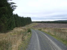 Photo 6x4 Hurtle Winter Blind Sike Forest track at Hurtle Winter in Wark  c2007