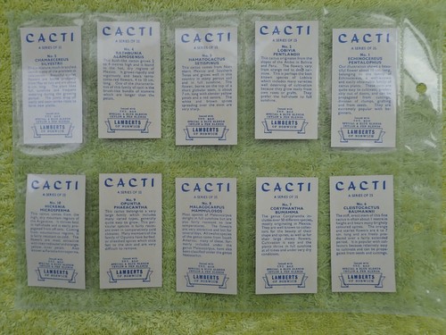 LAMBERTS OF NORWICH 1962 CACTI - Full Set 25 Trade Cards CAT £10 - Picture 3 of 7
