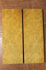 Golden Amboyna burl knife scale, gun grip. 5 X 1 7/8 X 3/8"