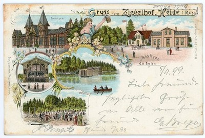 AK  Litho  Heide in Holstein    Gruss vom Ziegelhof     1899    N 724
