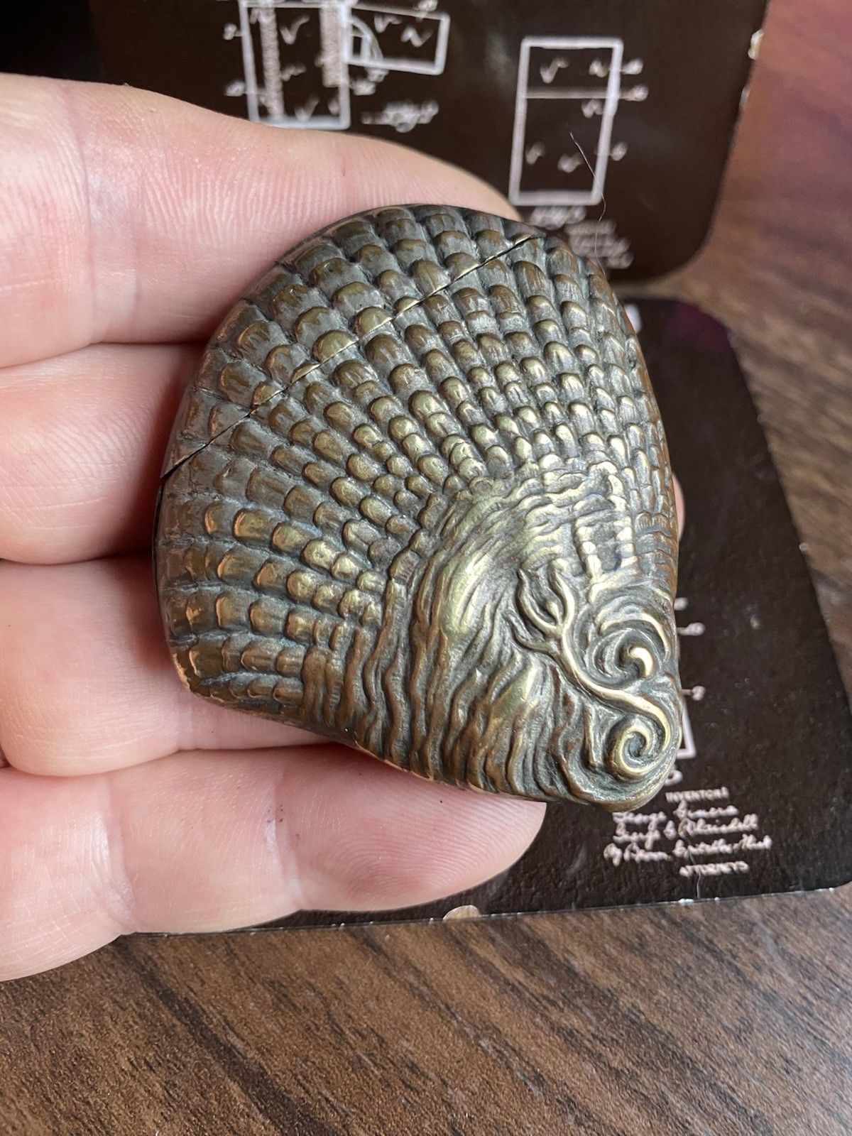 Victorian Oyster Shell Vesta Case Matchsafe. Brass Silver plate.￼