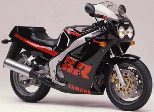 Yamaha FZR1000 Genesis 87-1988 Tinte Oscuro Perfil PANTALLA Powerbronze - Imagen 1 de 2