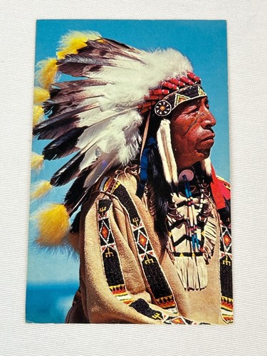 Vintage 60er Black Elk Sioux Warrior Postcard Free Lance Photographers Guild - Bild 1 von 5