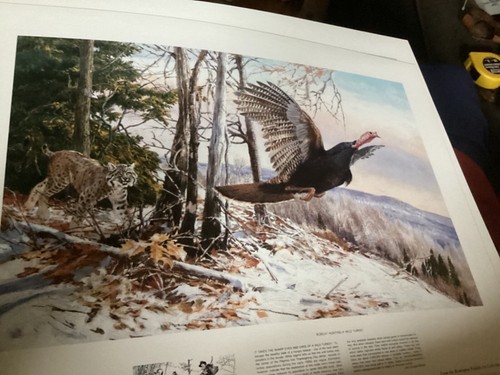 Remington's Portfolio Of The Un-endangered Species Of N. America By Tom Beecham - Picture 4 of 5