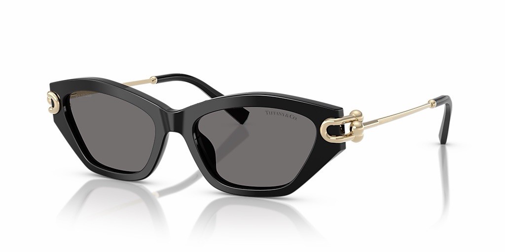 Tiffany - Co. TF 4231U 800181 Black Gold  Grey Polarized Sunglasses AUTHENTIC