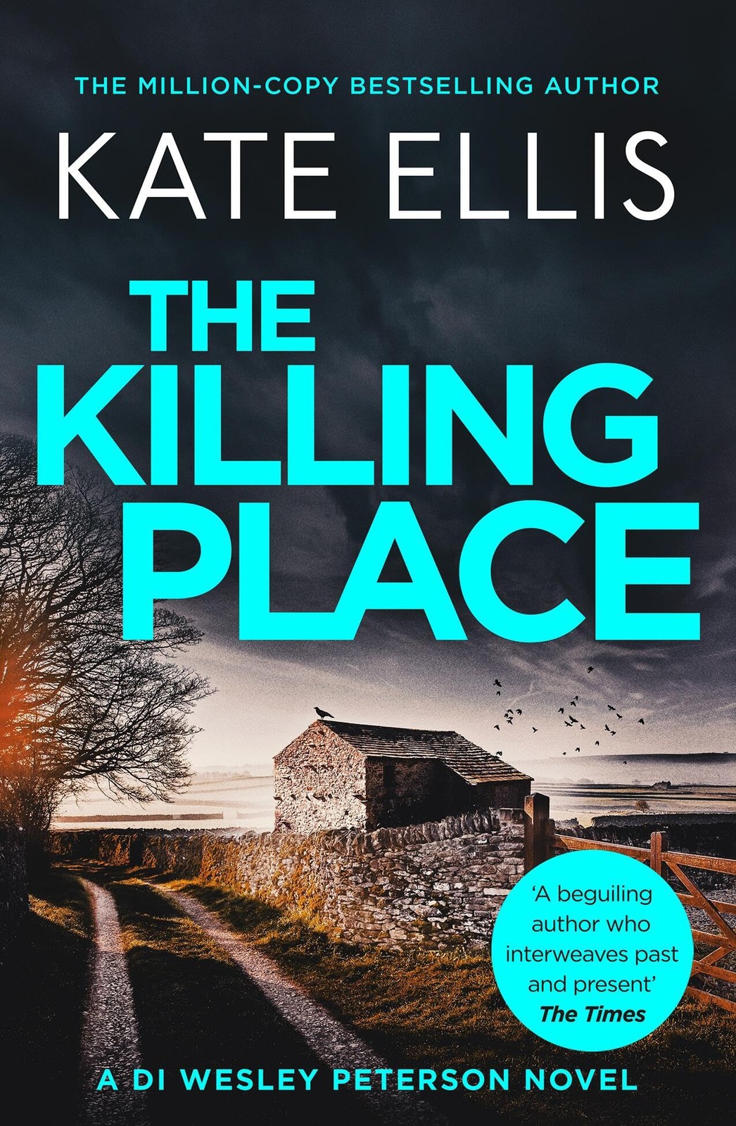 The Killing Place: Book 27 in the DI Wesley Peterson crime serie