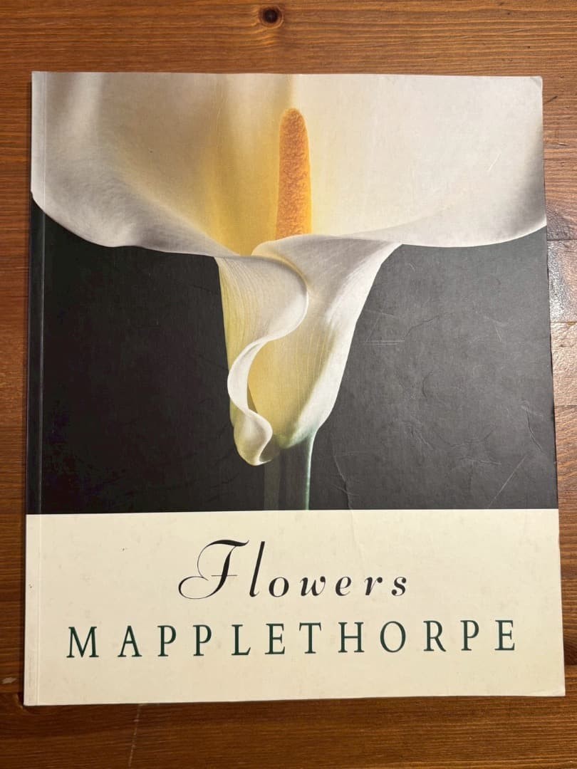 Robert Mapplethorpe Flowers Art Book 1993 Bulfinch | eBay