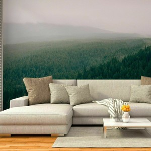 Avoir Images Papier Peint Photo Xxl Paysage De Montagne Foret Papier Peint actualisé par