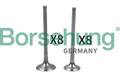 Borsehung B18634 Einlassventil für AUDI,SEAT,SKODA,VW