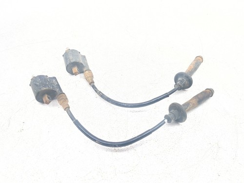 19-26 Honda Talon SXS1000R S2R Ignition Coil Set 30510-HL6-A01