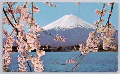 Mt. Fuji and Cherry Blossoms Japan Postcard