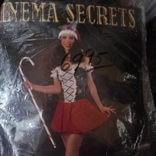 CINEMA SECRETS SANTA'S LITTLE HELPER COSTUME ADULT