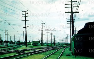 LAMTA. PCC CAR 3148. Los Angeles (CA). Original Slide 1960. PCC ON LB LINE! (O)