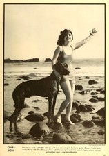 Clara Bow with her Great Dane Dog - 1929 Page Image - 5 x 7 inch Photo Print