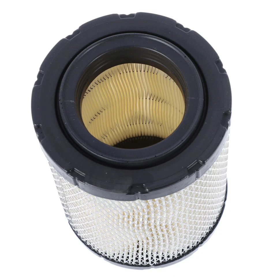 Filtro de admisión de filtro de aire Buick Chevrolet GMC Saturn 2002-2009 19239713 OEM NUEVO 19239713 Foto 2 de 4