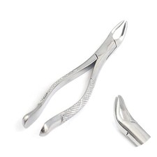 Dental Tooth Extracting Forceps 151A Surgical Dental Instruments