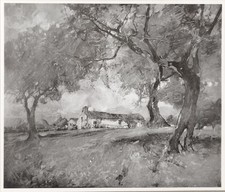 Antica stampa 1910 (XX secolo) Giuseppe Casciaro – Veduta degli ulivi in Abruzzo