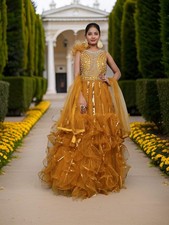 Gown with Cut Dana Sequin Work by Shreekama